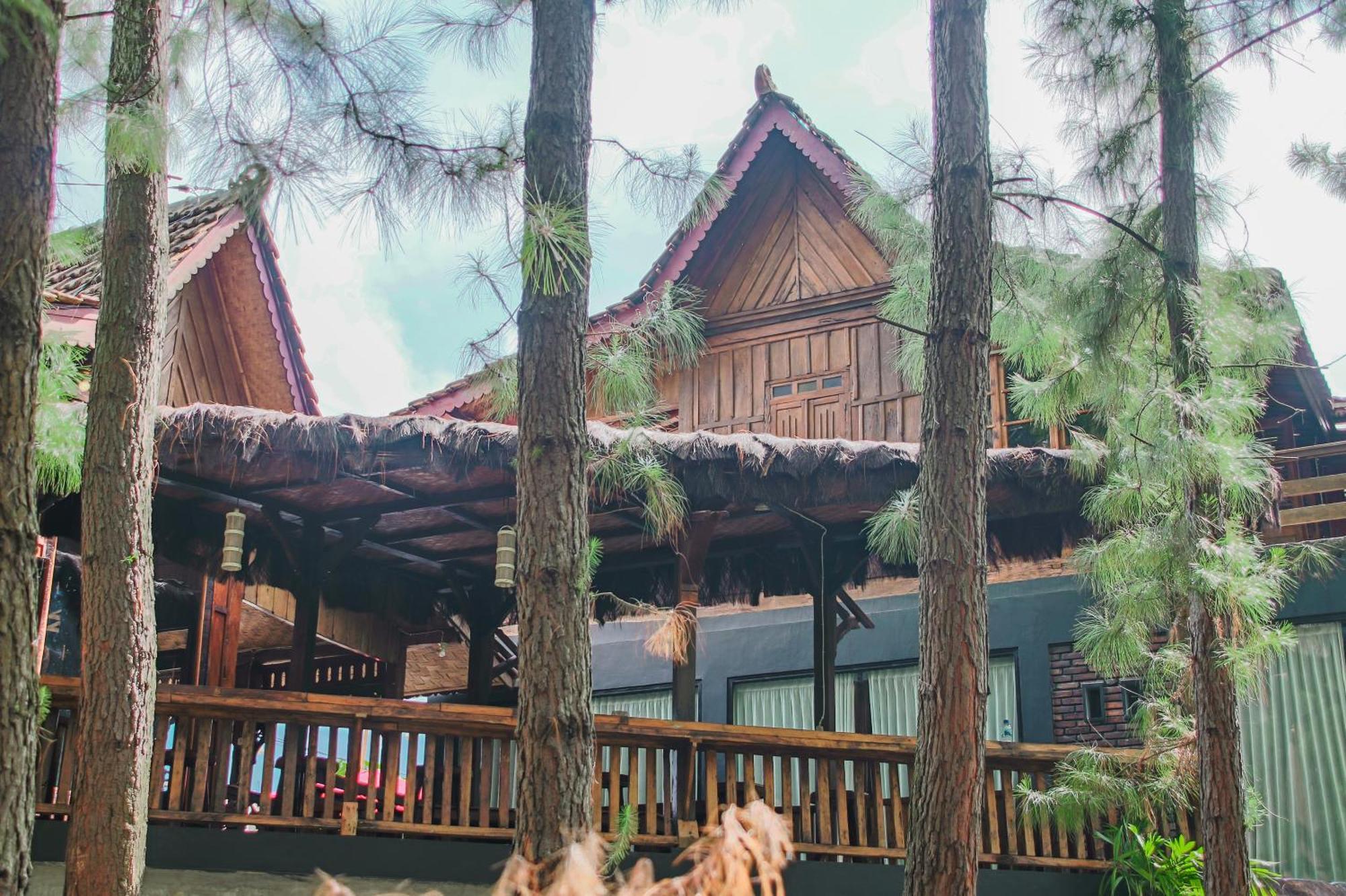 Villa Omah Kayu Bromo Ngadisari Esterno foto
