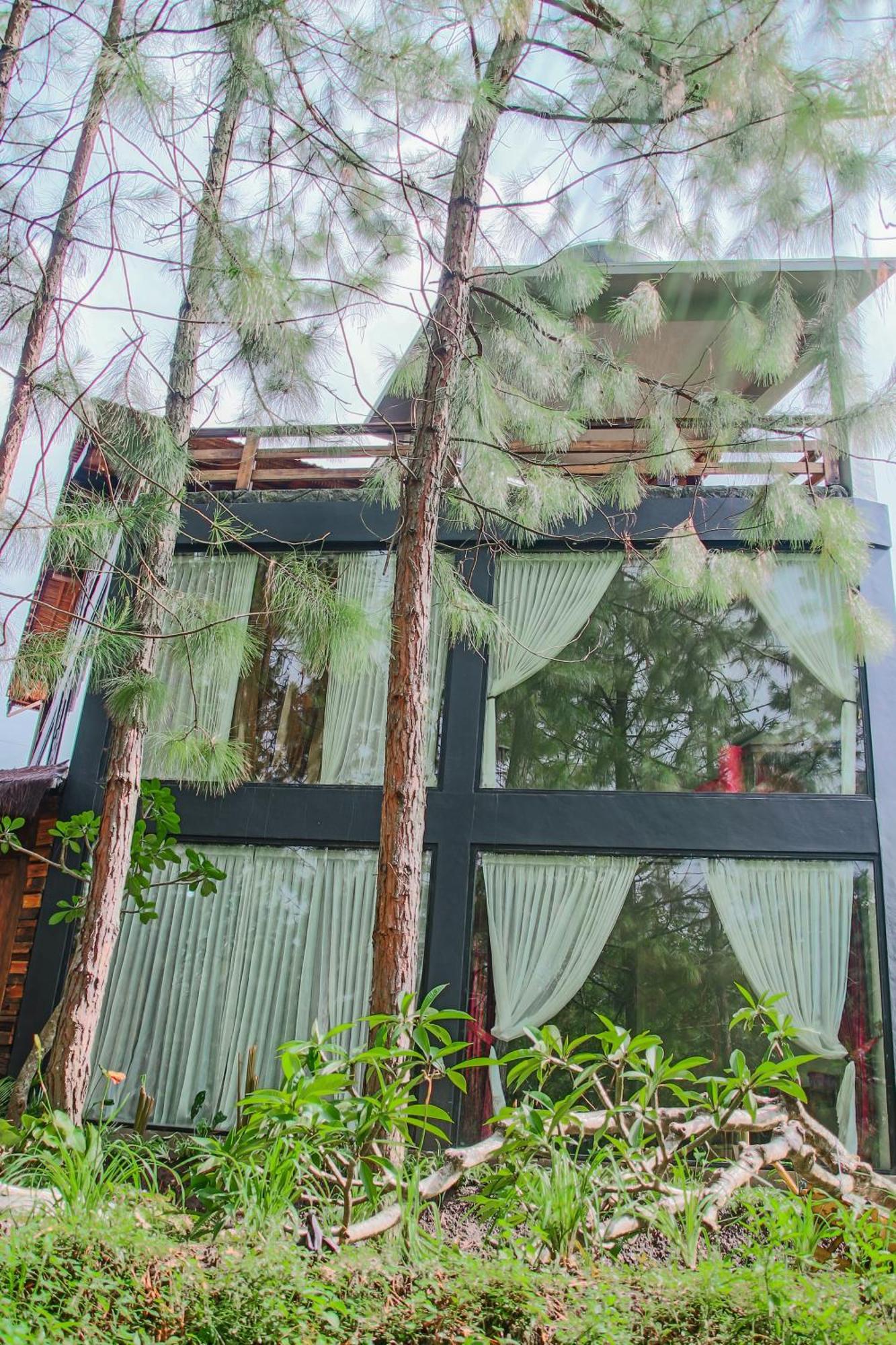 Villa Omah Kayu Bromo Ngadisari Esterno foto