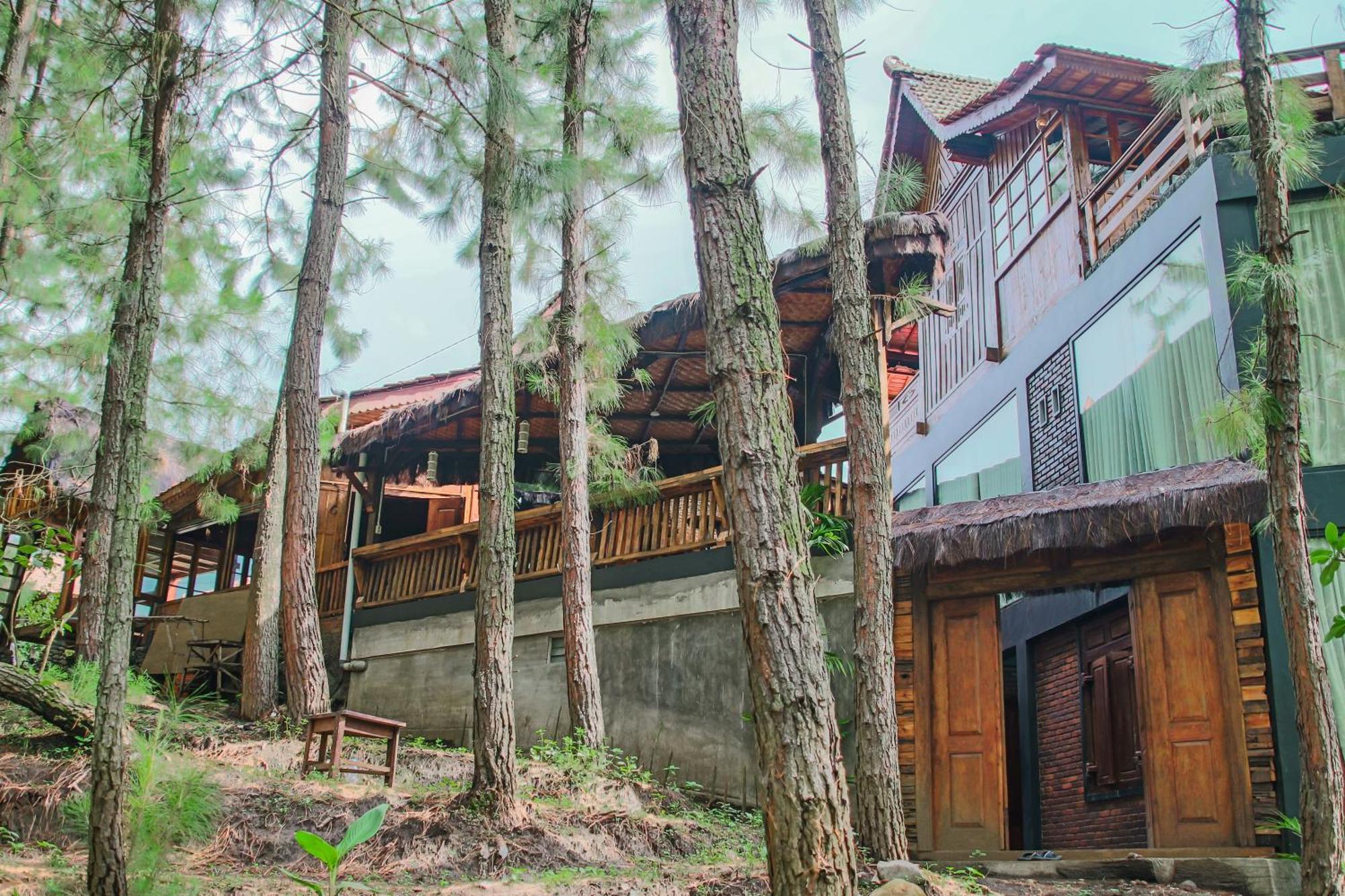Villa Omah Kayu Bromo Ngadisari Esterno foto