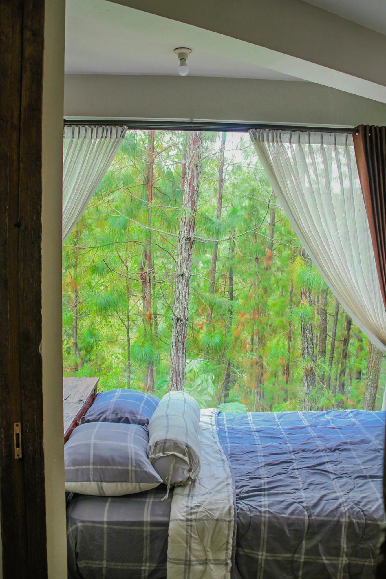 Villa Omah Kayu Bromo Ngadisari Esterno foto