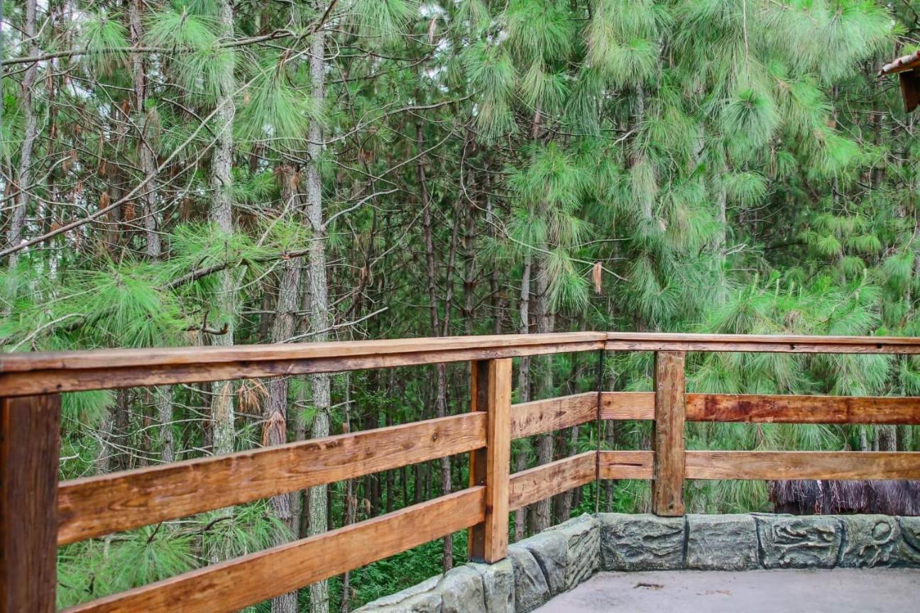 Villa Omah Kayu Bromo Ngadisari Esterno foto